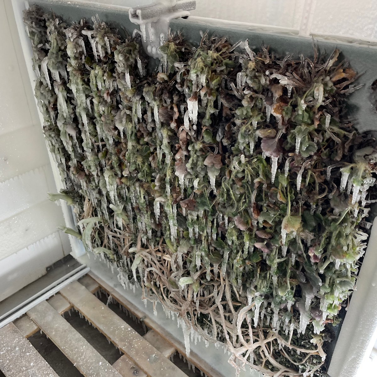 Vereisungstest unter Extrembedingungen – der Versuch wurde messtechnisch begleitet.